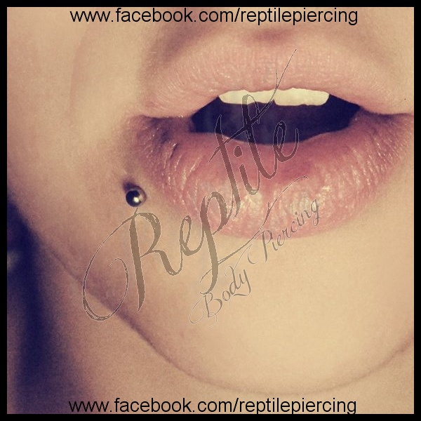 Wpis xreptilex