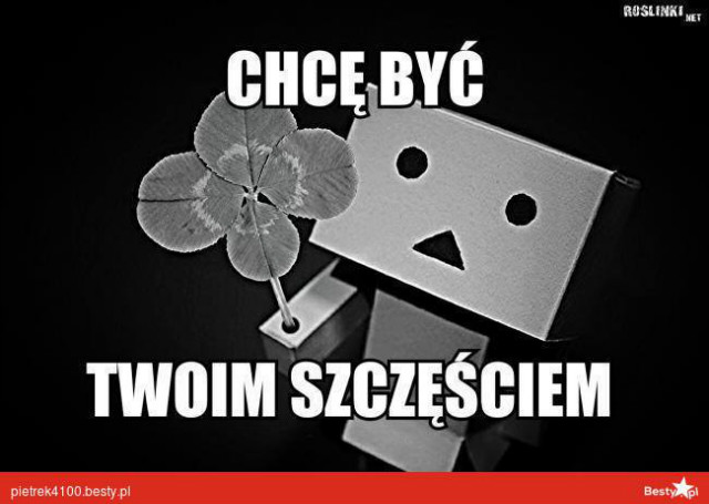 Wpis dzoanna2