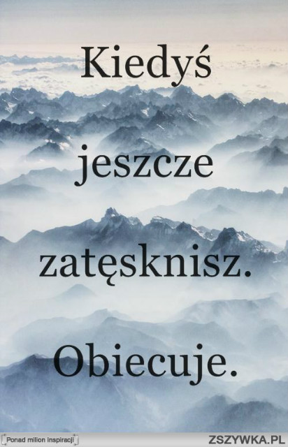 Wpis beebow