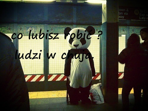 Wpis abstraact
