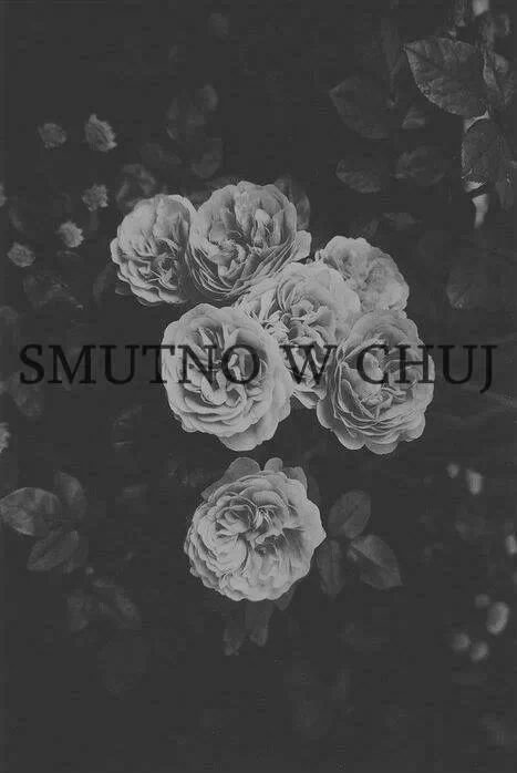 Wpis nieznamciiee