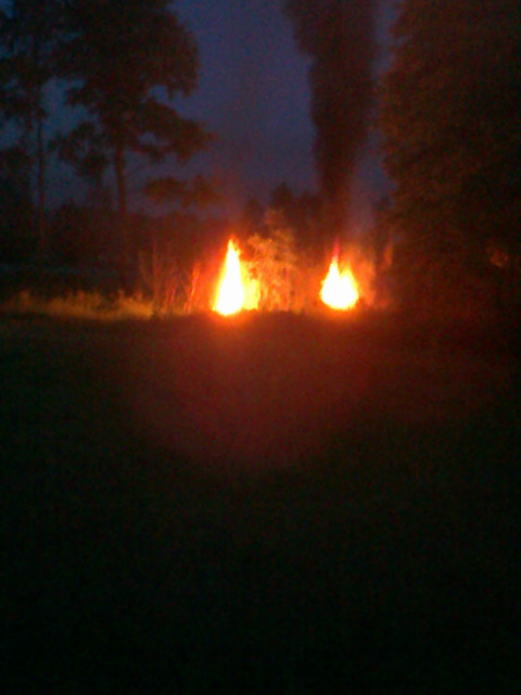 Ognisko 2012