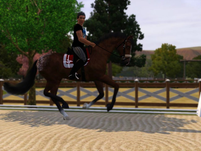 Wpis horsestime23