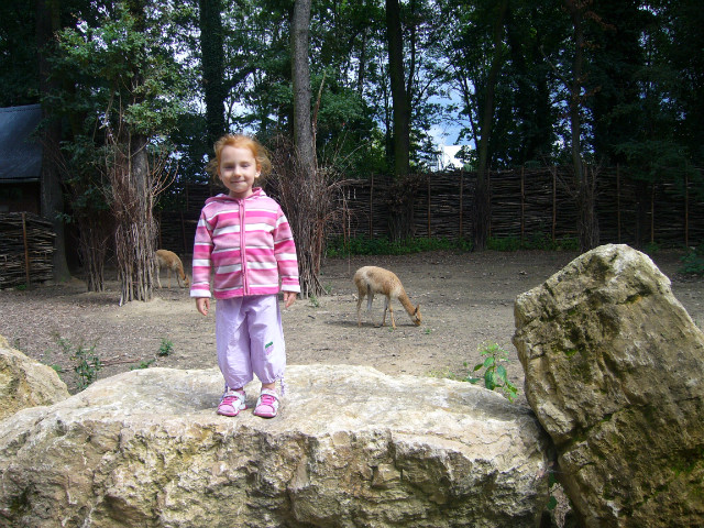 Wpis karola2003