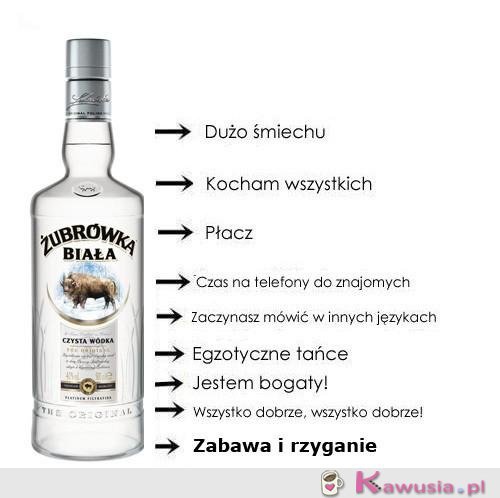 Wpis bagazniespelnionychmarze