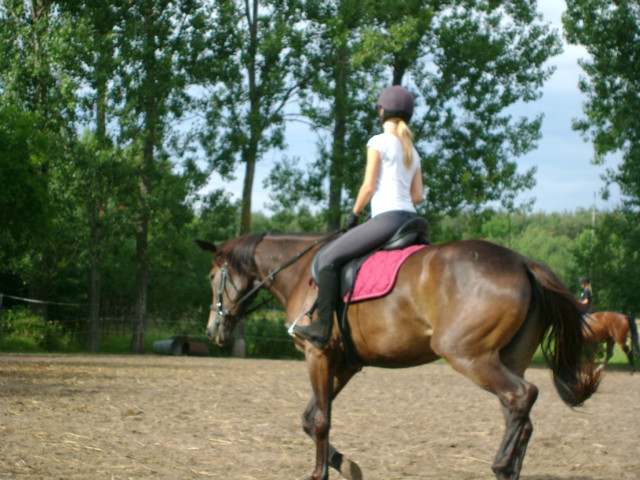 Motywacja 