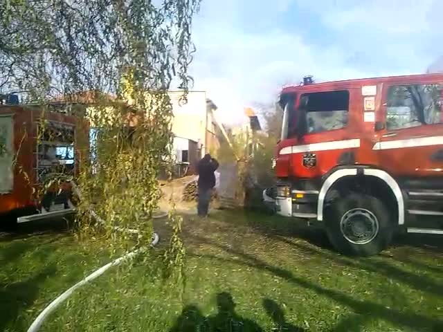 fdsfsd