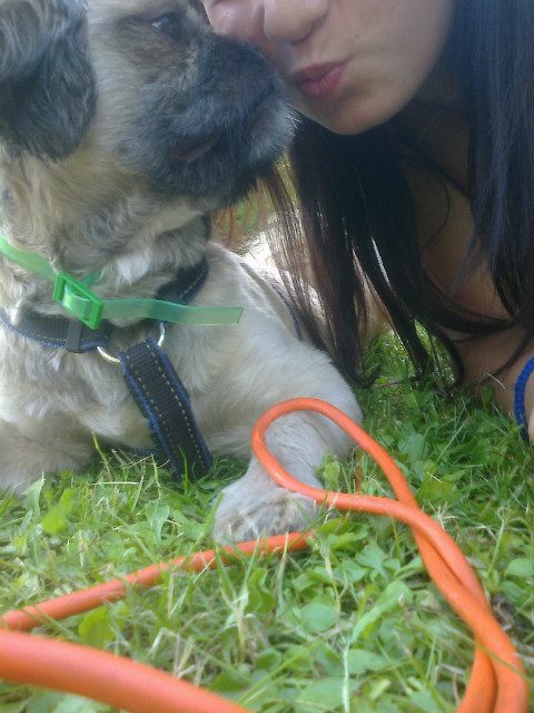 Wpis madzkax3