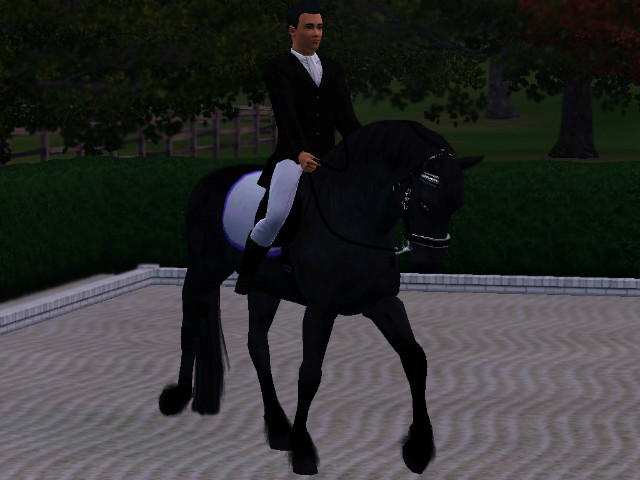 Wpis simshorse3
