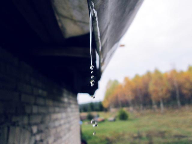 (tear)drops