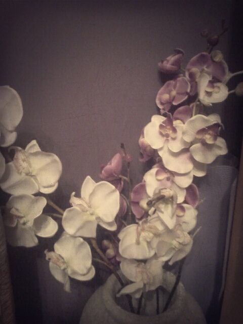 Wpis agnesfoto