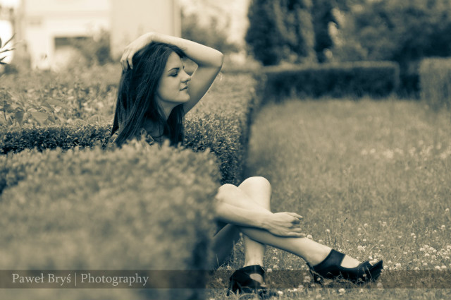 aosny.
