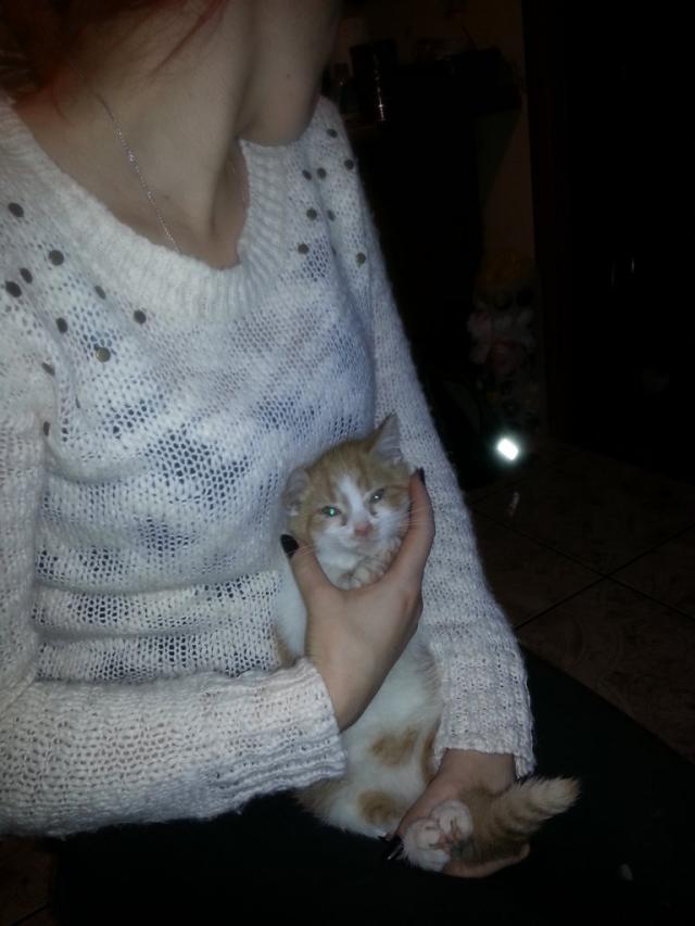 kicio