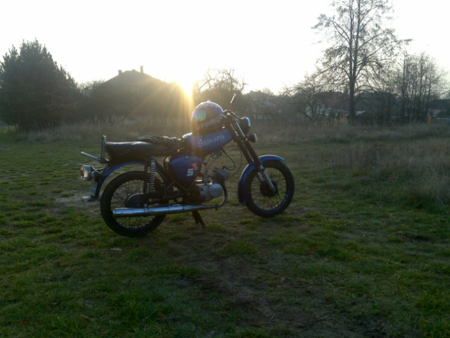 Simsonek 