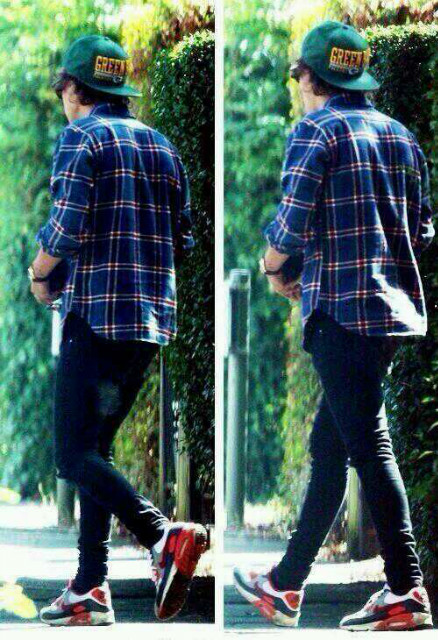Wpis csbro