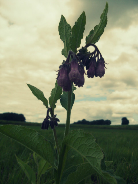 Wpis nataliaxphotography