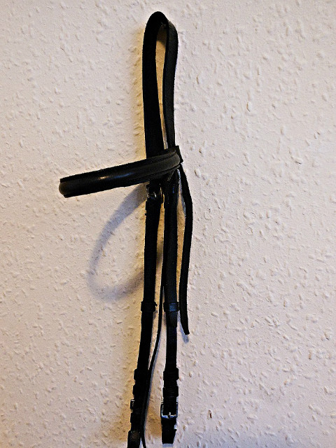 ogowie cob