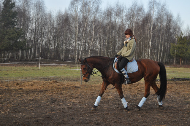 Wpis safonowa