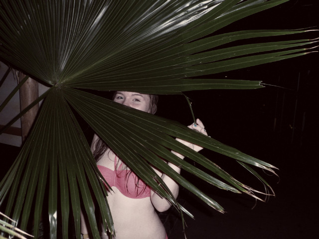 tropical