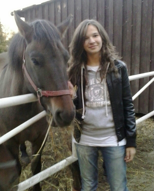 Horse 