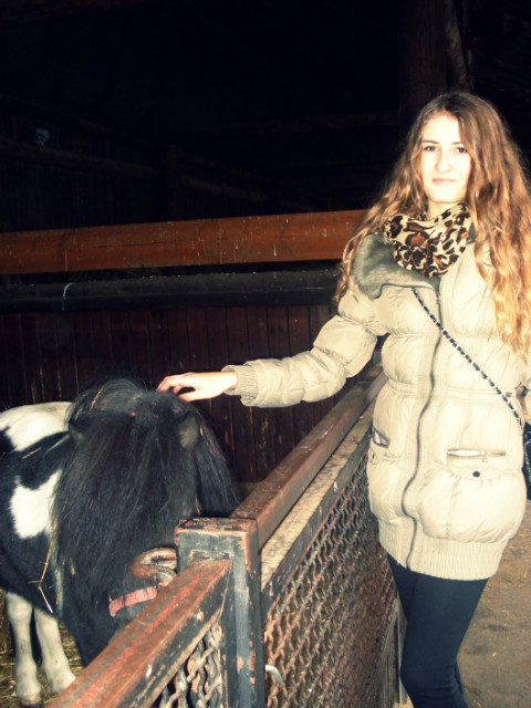 zoo