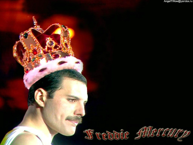 Freddie 