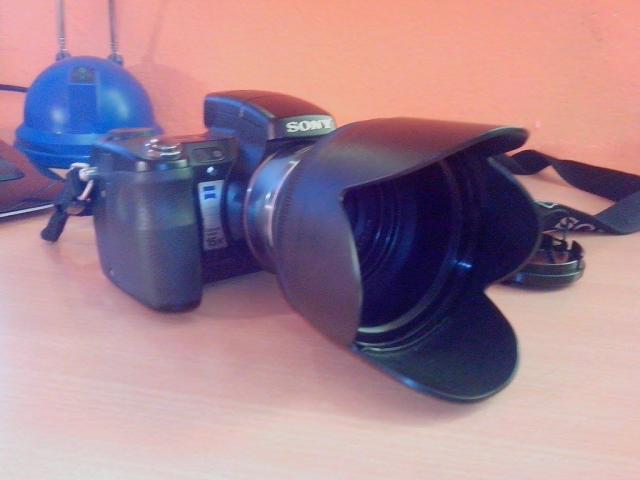 Wpis proffessorek
