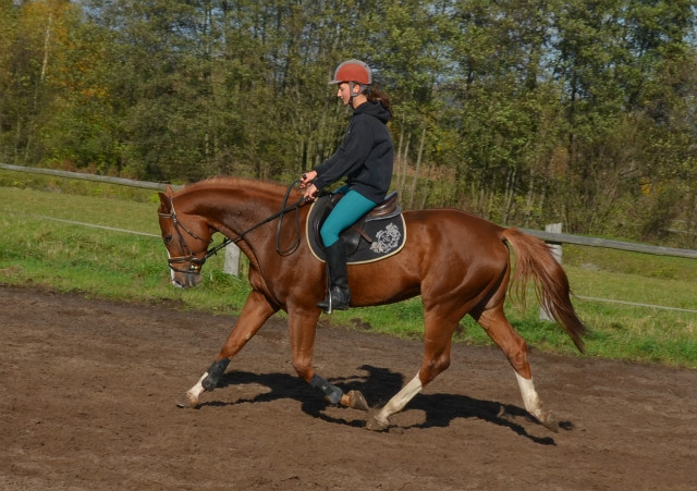 Wpis mojswiat91