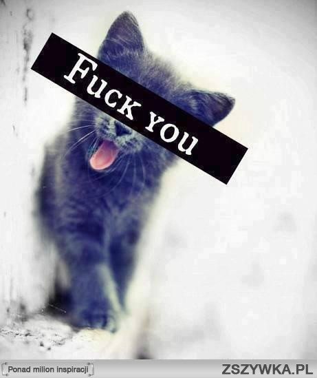 No dokadnie. Fuck you