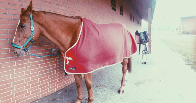Wpis strawberryjuice