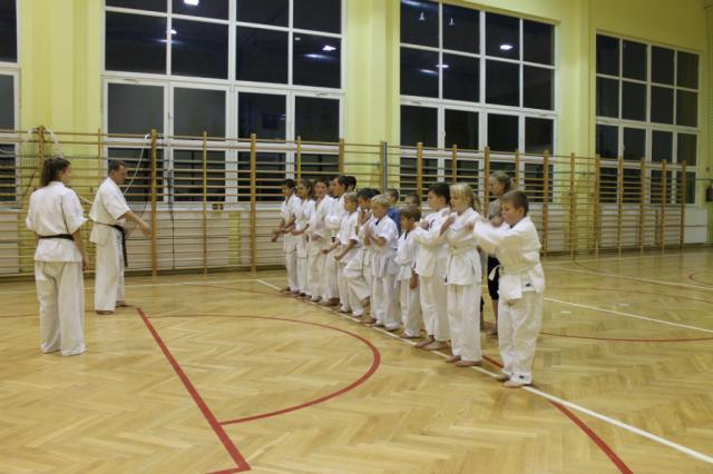 Wpis bakaizu