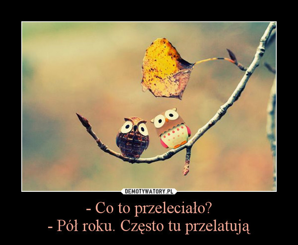 Wpis xxcalineczkaxx