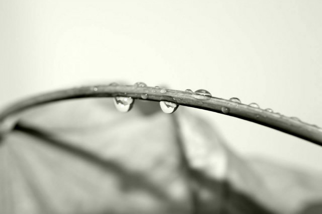 drops everywhere 