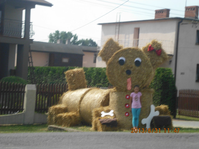 doynki
