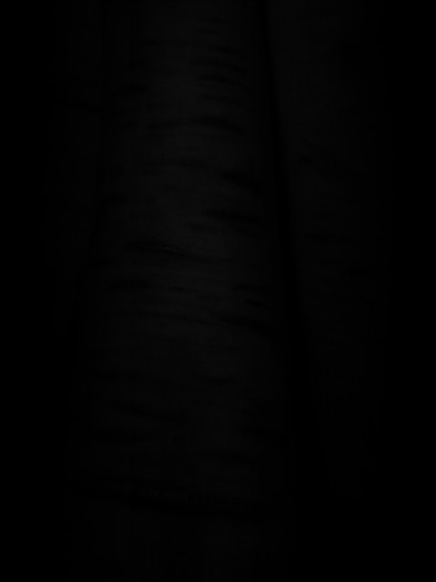 7.