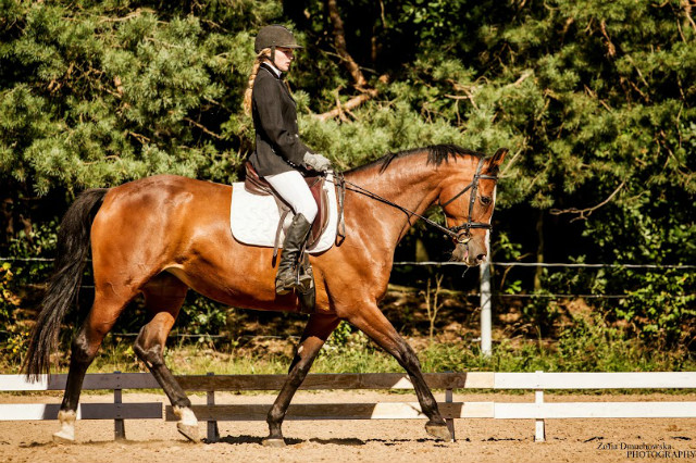 Wpis chevauxamour