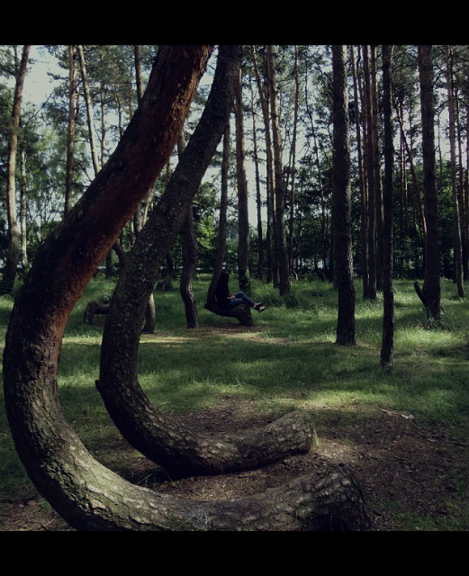 Ensomhet.