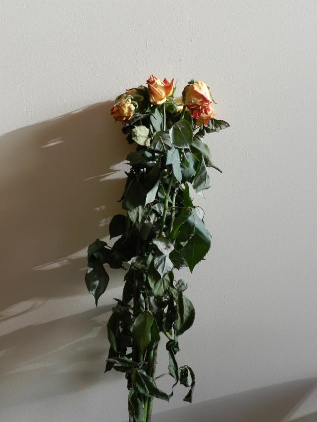 moje najpikniejsze re :)