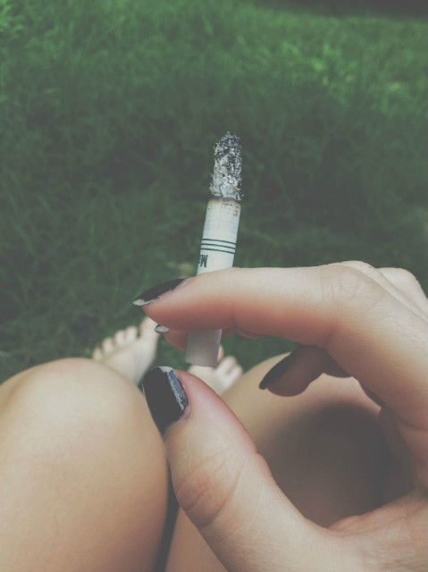 Wpis neto