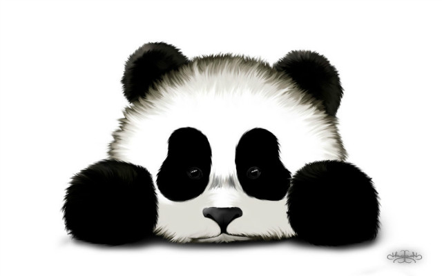 Sad Panda