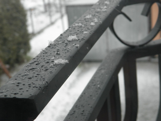 LET IT SNOW