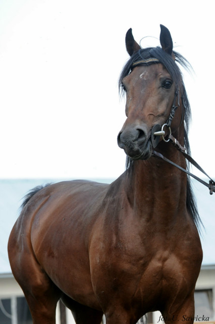 Zaborw :) 