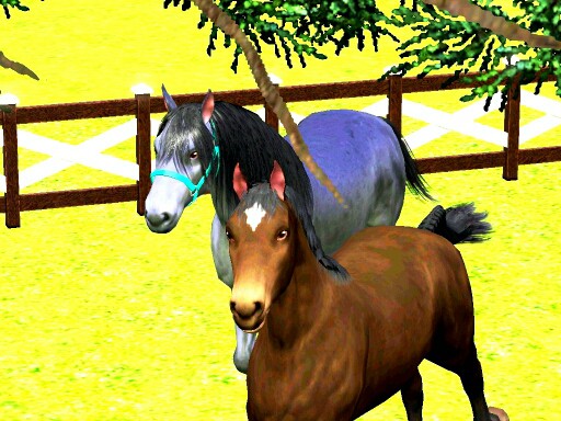 Wpis wildhorses2001