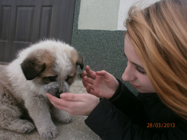 Bd , tylko tyle !