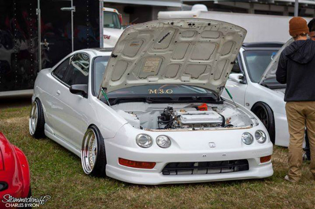 Wpis hellaflush