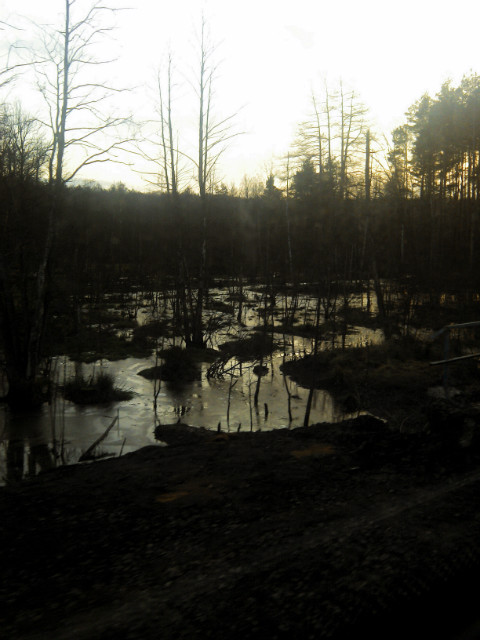 in the middle of nowhere