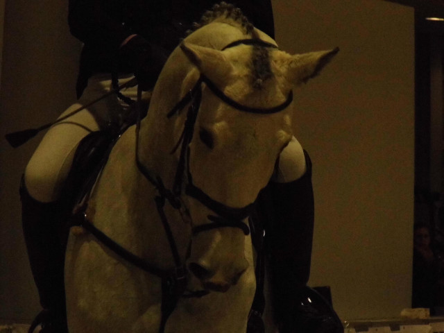 Wpis horsesthink