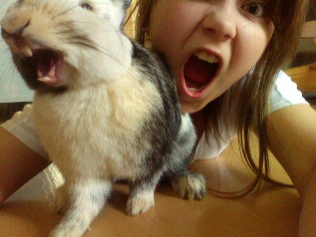 Siemka ! :)