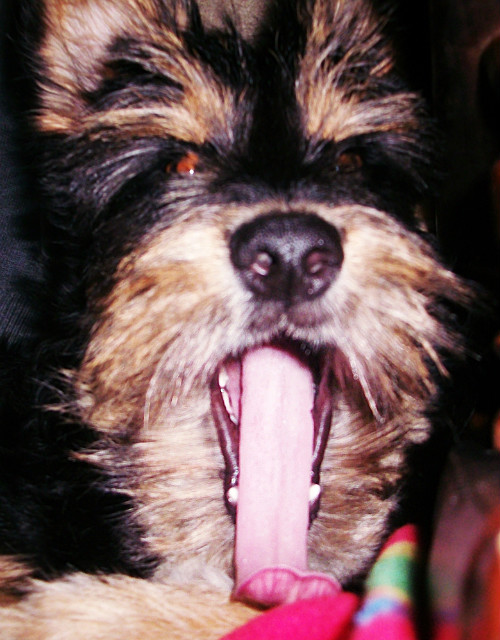puf :)