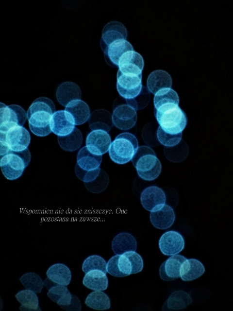 Bokeh.